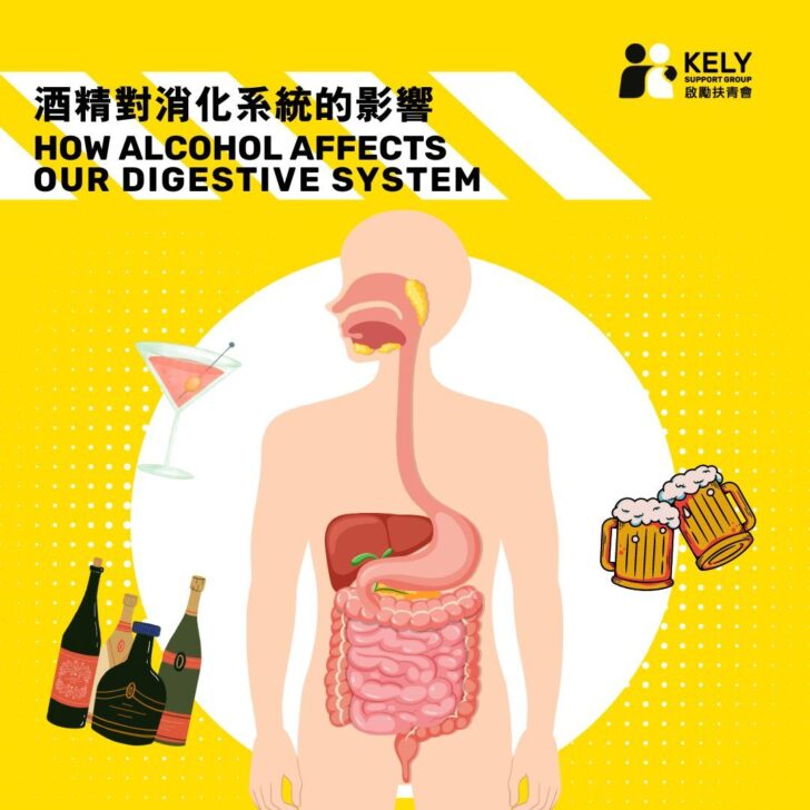 How Alcohol Affects Our Digestive System