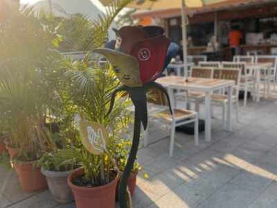 Rida_DEEP WATER BAY - COCONUTS